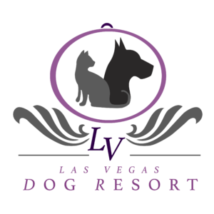Las Vegas Dog Hotel - Dog Day Care Center - Affordable luxurious