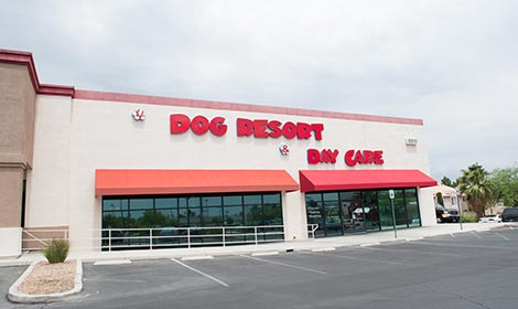 LV Dog Hotel