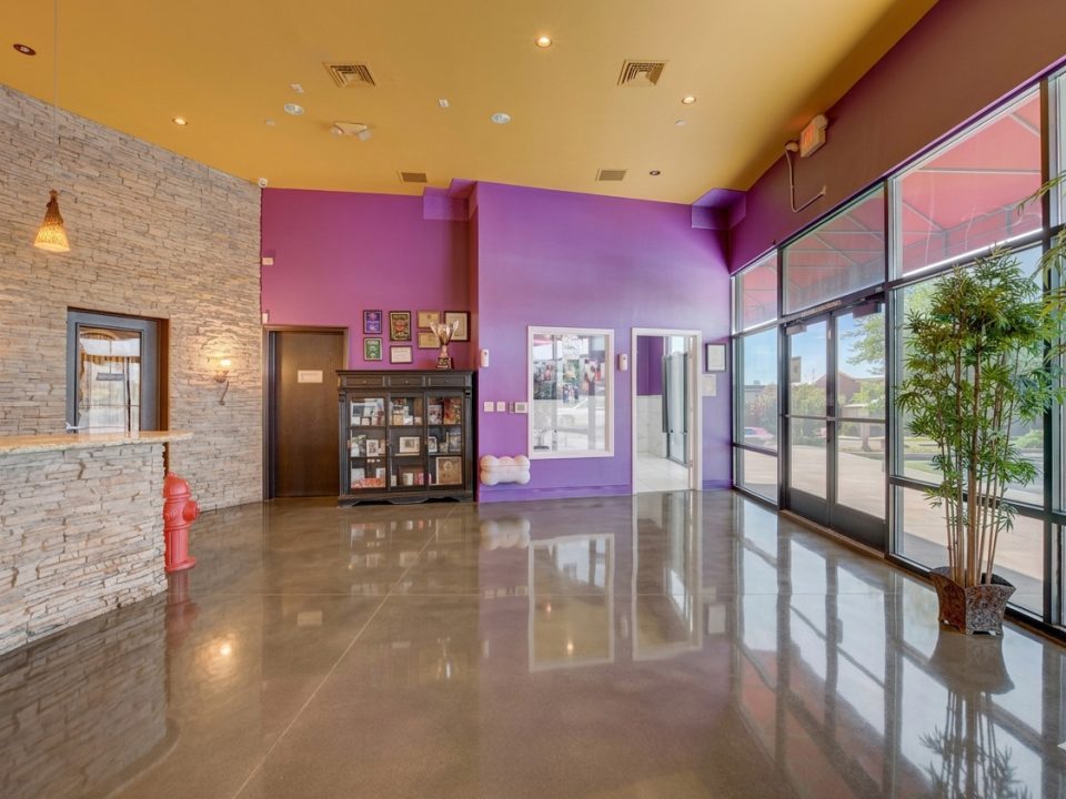 Las Vegas Dog Hotel