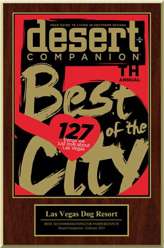Desert Companion Award