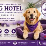 LV Dog Hotel Is a Dog’s Best Friend
