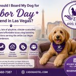Where Should I Board My Dog for Labor Day Weekend in Las Vegas?
