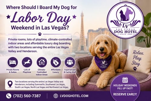 Where Should I Board My Dog for Labor Day Weekend in Las Vegas?