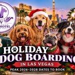 Holiday Dog Boarding in Las Vegas
