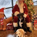 Pet Photos With Santa in Las Vegas at LV Dog Hotel