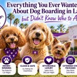 Dog Boarding in Las Vegas
